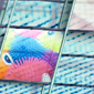 Safety Glass